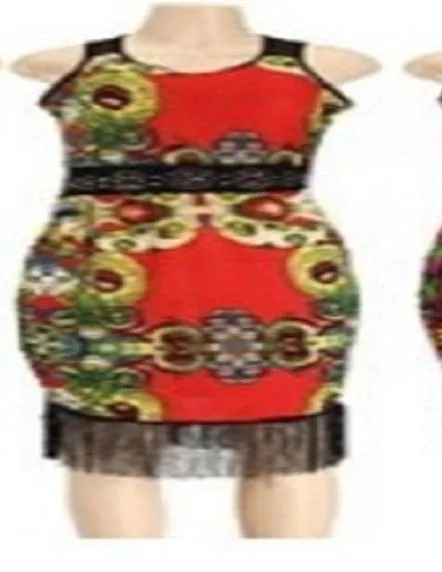 Women floral Sexy Spandex Bodycon Print Dresses